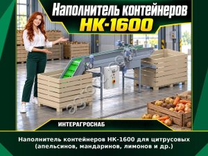 Наполнитель контейнеров НК-1600 для цитрусовых (апельсинов, мандаринов, лимонов и др.)