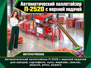 Автоматический паллетайзер П-2520 с верхней подачей для овощей, картофеля, лука, моркови, свеклы, редьки, репы, редиса