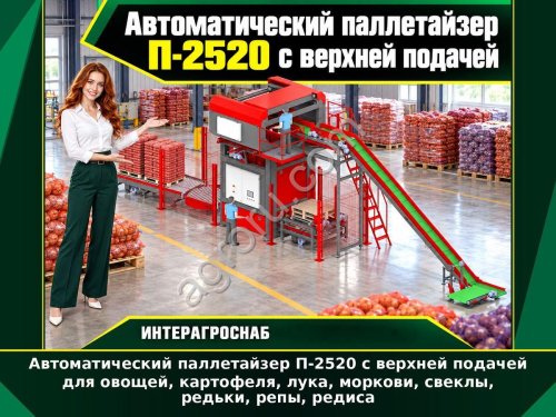 Автоматический паллетайзер П-2520 с верхней подачей для овощей, картофеля, лука, моркови, свеклы, редьки, репы, редиса