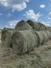 Сено в рулонах и тюках