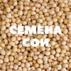 Семена сои Вилана бета рс1
