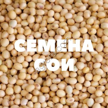 Семена сои Вилана бета рс1