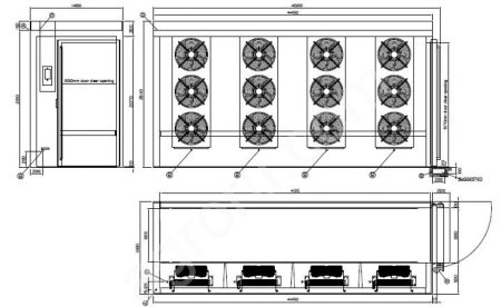 Шоковая заморозка фруктов, овощей, ягод, грибов