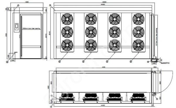 Шоковая заморозка фруктов, овощей, ягод, грибов