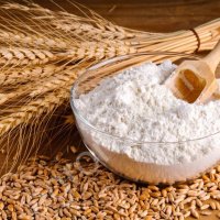 УЛУЧШИТЕЛЬ ДЛЯ МУКИ ЭКСПЕР ГОЛД 1000