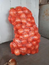 Репчатый ук Манас оптом от производителя