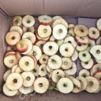 Машина удаления середины и резки на колечки яблок