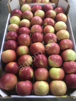 Яблоки разных сортов.