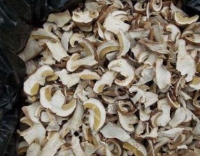 Сушеные грибы ( белый,лисичка,,масленок и др.)