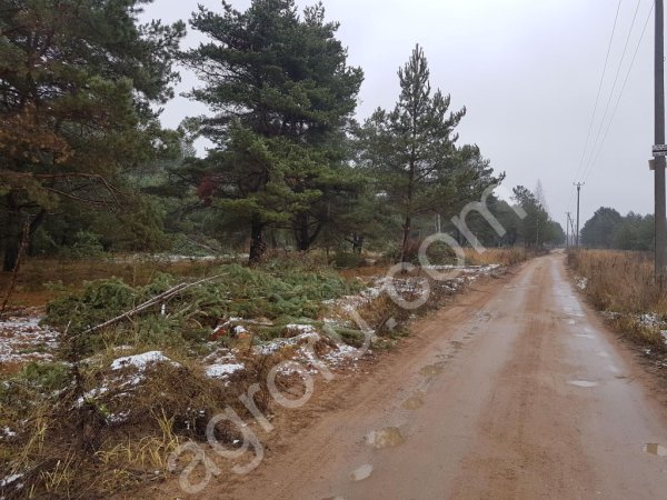 Земельные участки.