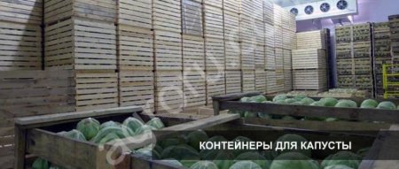 Плодоовощные и фруктовые контейнеры.