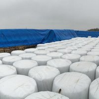 Сенаж валом (Люцерна Райграс в вакуумной упаковке)