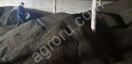 Масленичная семечка, жмых  подсолнечника, рапса, льна, сои, соя полужирная, патока, подсолнечное мас