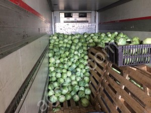 Капуста Оптом
