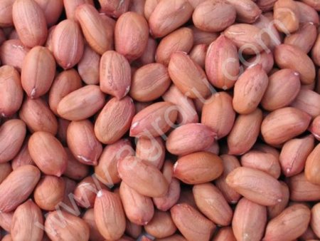 Арахис очищенный сырой
