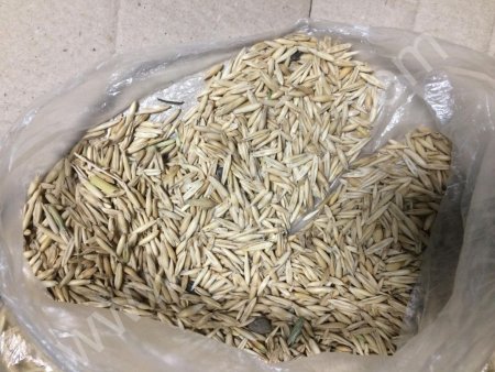 Ячмень, Овес качество ГОСТ