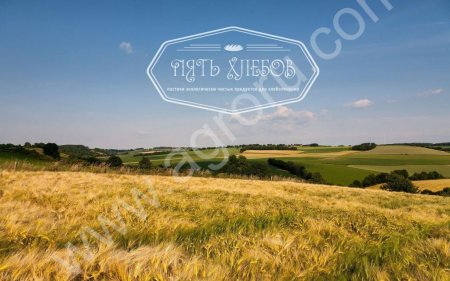 Мука ржаная