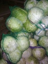 Капуста