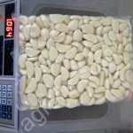 Чищенный чеснок 2020