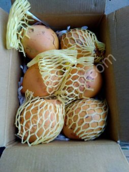 Кокосы Королевские Шри-Ланка