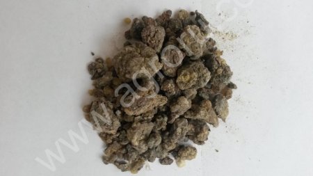 Живица кедровая без подсочек