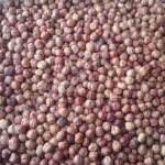 фундук чищенный, сырой