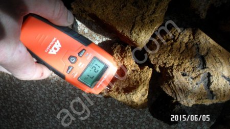 гриб чага сушеный