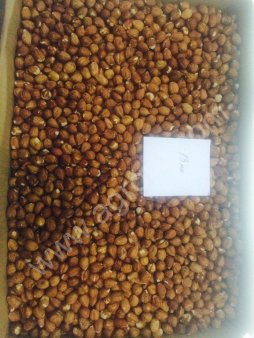 Фундук очищенный