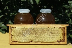 Мёд из подсолнуха и разнотравья
