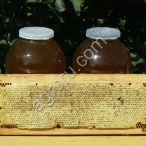 Мёд из подсолнуха и разнотравья
