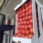 Томат розовый