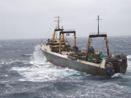 Краткий обзор рыбной отрасли