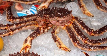 Новые проекты и квоты, - Краткий обзор рынка рыбы