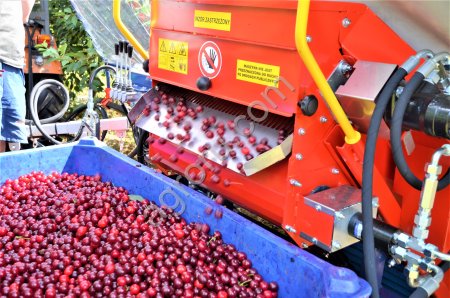 Встряхиватель косточковых деревьев GACEK