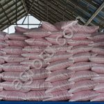 Гибриды семян кукурузы Краснодарский 291 АМВ F1 ФАО 290