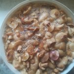 Маслята соленые