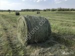 Сено луговое в тюках