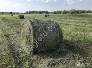 Сено луговое в тюках