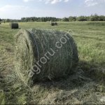 Сено луговое в тюках