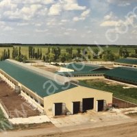 ангары, коровники и объекты сельскохозяйственного назначения и животноводства