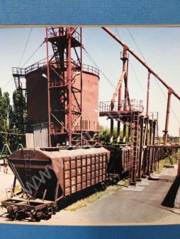 Пшеница 3 4 класс