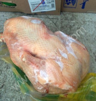 Индейка и курица.Оптом и мелким оптом
