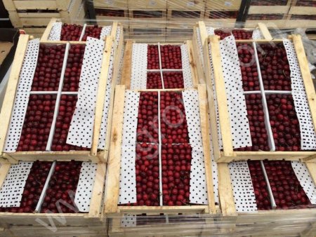 черешня оптом от производителя