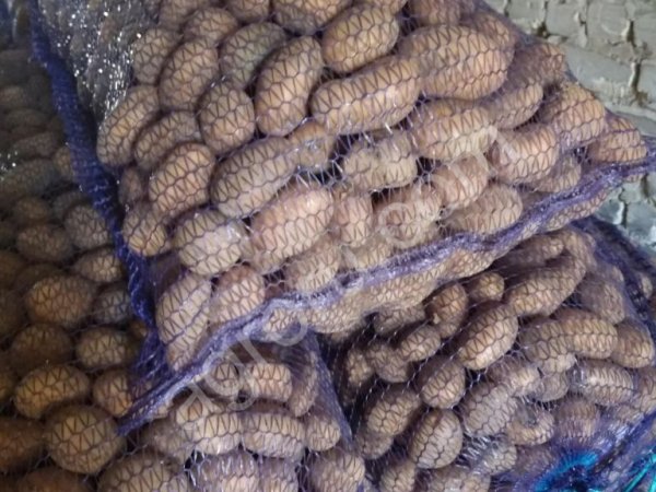 Картофель мытый