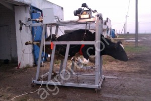 Станок с электроприводом для обработки копыт