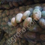 Картофель оптом от производителя