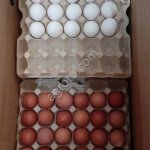 Яйцо куриное всех категорий ( СО, С1,С2, С3)