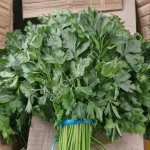 Укроп, петрушка, кинза.