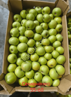 Яблоки разных сортов от производителя