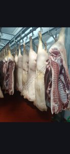 Свинина, состояние мяса охлажденное